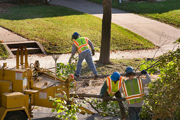 Best Seasonal Cleanup  in Prescott, WI